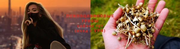 гашик Беломорск