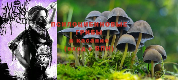 мет Белокуриха
