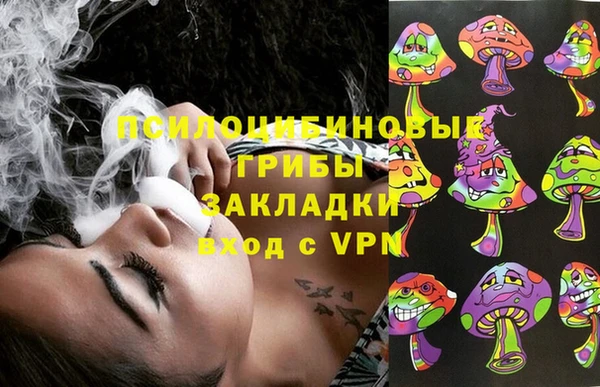 герыч Россошь