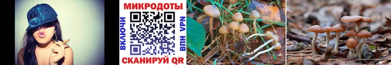Псилоцибиновые грибы MAGIC MUSHROOMS  omg маркетплейс  Вуктыл 